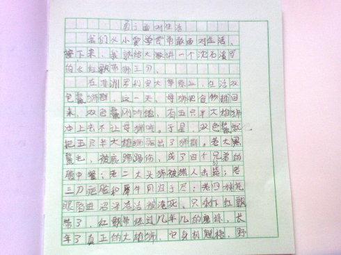 沈石溪动物小说读后感