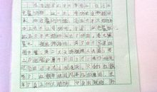 沈石溪动物小说读后感