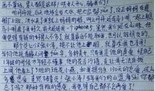 高三叙事作文：此情可待成追忆_900字