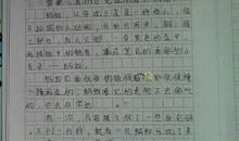 研究昆虫作文550字