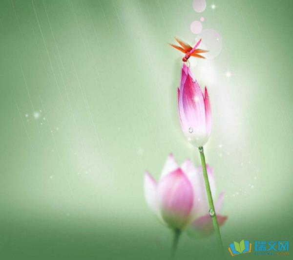 独特的春天_600字