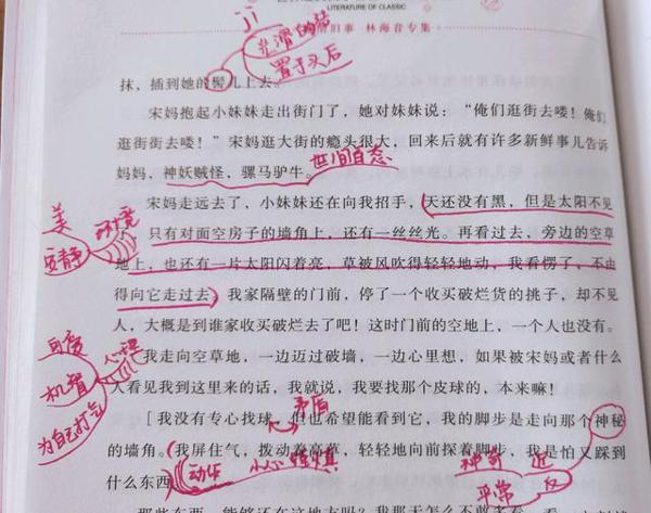 孩子读了很多书,仍然写不好作文?试试思维导图做旁批! 11