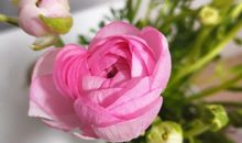 中学生改写作文：《此夜曲中闻折柳，何人不起故园情》