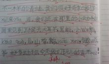 其实我很在乎 初中写事作文600字