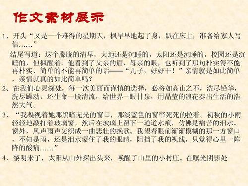 心灵深处的记忆 难忘的回忆作文800字