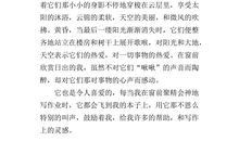 五年级状物作文：阿跳_600字