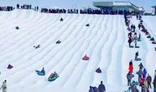 看海狮表演-快乐的五一作文500字