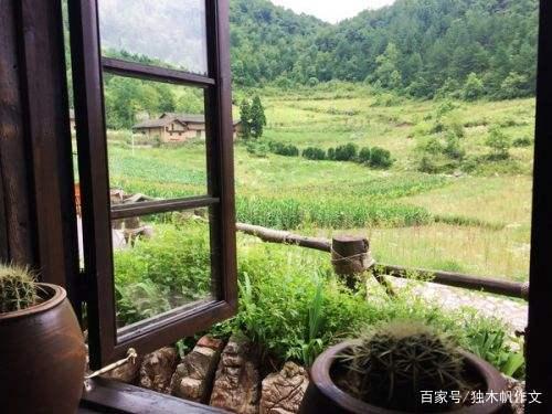 初一作文500字：窗外