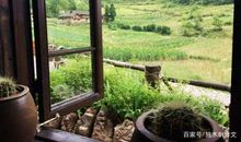 初一作文500字：窗外