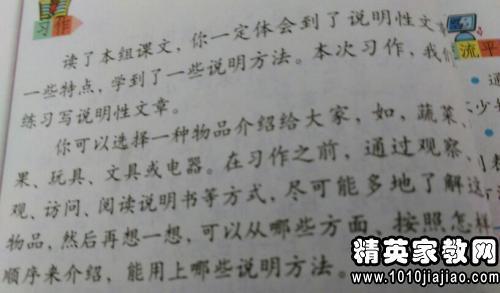难忘的清明节 小学写事作文200字