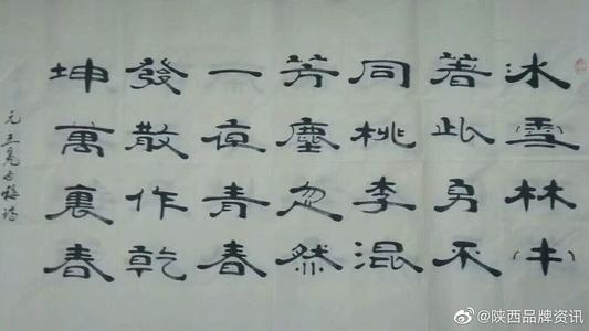 待字闺中人未识――小盘村印象 写景的作文700字