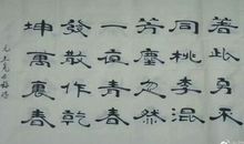 待字闺中人未识――小盘村印象 写景的作文700字