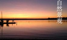 那次的作文650字