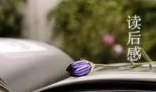 罗曼罗兰读后感