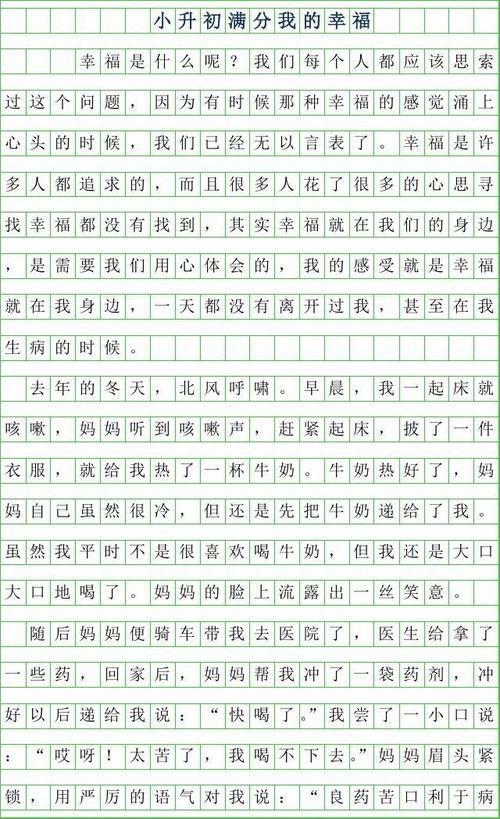 2019小升初满分作文：星辰，你还好吗？_450字