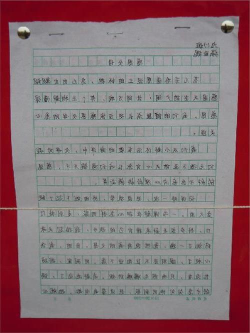 亲情饺子 温暖的亲情作文500字