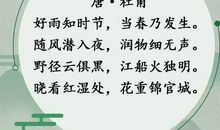 没有一个春天不会到来 疫情作文700字