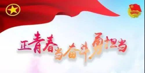 你的样子就是中国的样子 关于疫情的作文800字