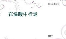 温暖 妈妈的关爱作文700字