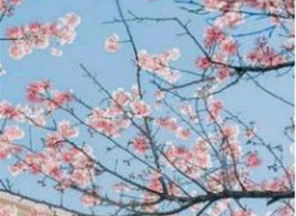 中高考在即,这样写读后感让学子们稳操胜券 1