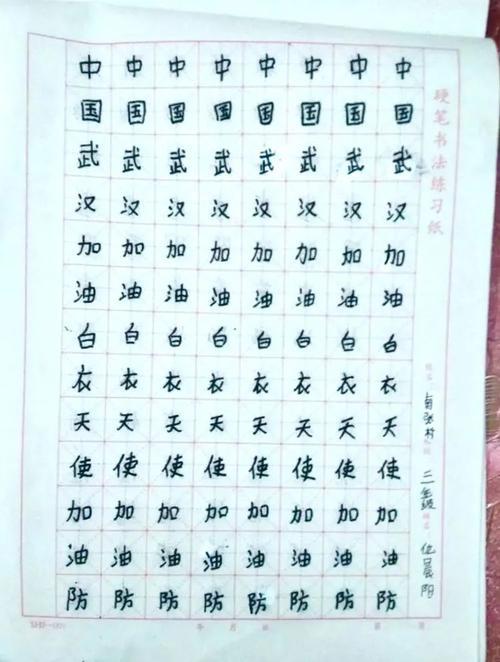 最美的星光 致敬最美逆行者作文600字