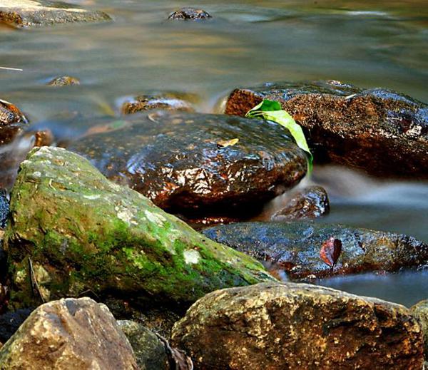 帮小学生写作文：“五一农村游记” 1