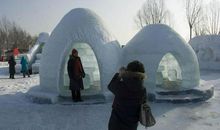 读后感：一曲北极圈内的雄壮赞歌——读《爱斯基摩人》