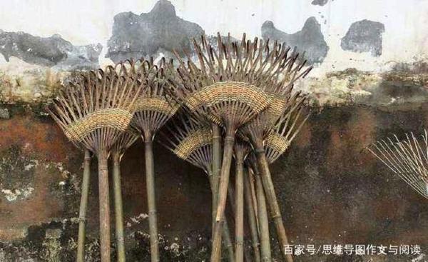 《我的乐园》就像她那么写,别人家的孩子有一套(学生作文展) 2