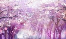 樱花樱花，想见你 2020年疫情作文700字