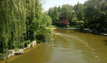 智慧学习技巧——学生写好作文的关键，是掌握把控好自然段的设置