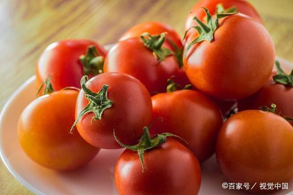 初三哲理作文：西红柿道理