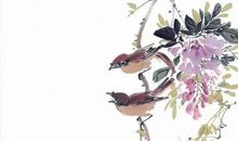 作文展 ▏ 全国优秀小学生作文展