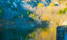 疫情作文：这个冬天不太冷