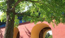 写事作文：那抹色彩感动了我