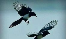 初一作文：从什么到什么作文