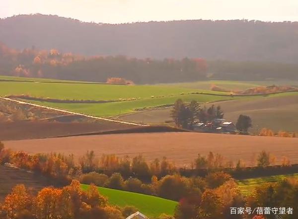 三年级写景作文,秋姑娘来了 3