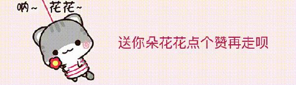 儿子的作文太奇葩,家长看后赶紧解释:都是二哈惹的祸! 3