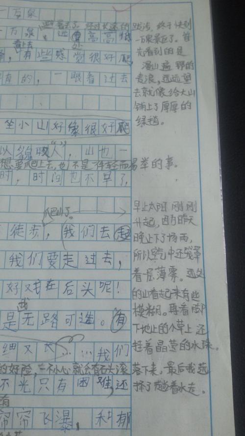 去迎接星光 疫情的考验作文600字