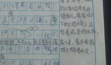 去迎接星光 疫情的考验作文600字