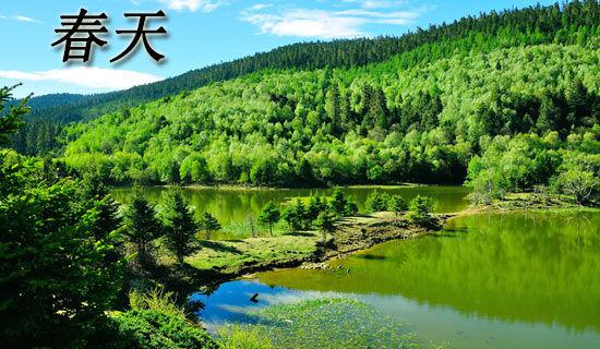 春天的小学四年级作文500字