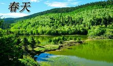 春天的小学四年级作文500字