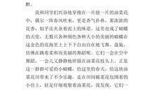 初三状物作文：油菜花_800字