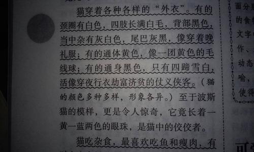 初三状物作文：闹钟_650字