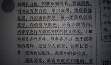 初三状物作文：闹钟_650字