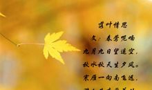 初三状物作文：落叶_650字