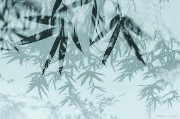 妙用古诗词,让申论大作文更出彩 3