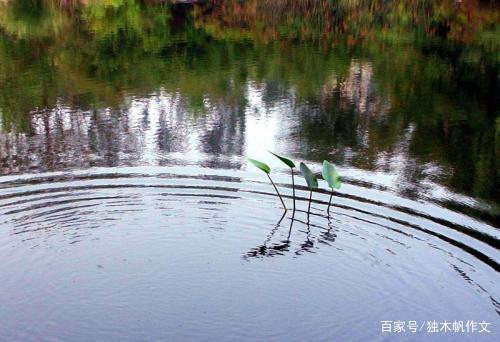 五年级作文:水的联想