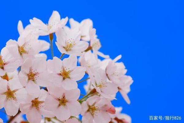 幽默笑话:小明!你作文中有一个地方写错了! 1