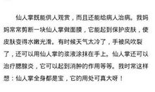 初三状物作文：万能的仙人掌_450字