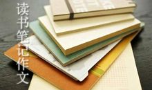 追风筝的人读书笔记